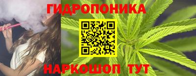 дурь Кингисепп