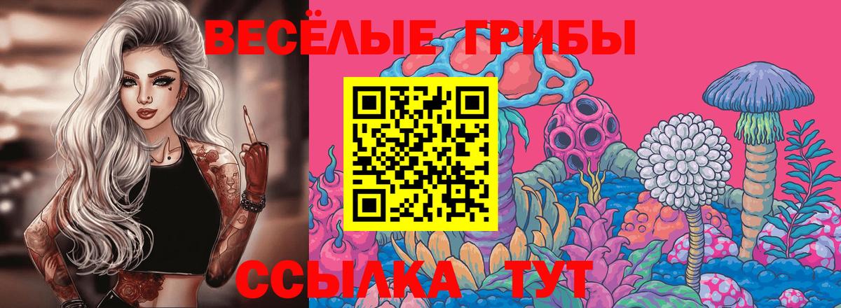 Псилоцибиновые грибы Psilocybe Славгород